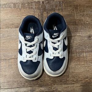 Blue and white Nike dunks